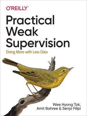 cover image of Practical Weak Supervision